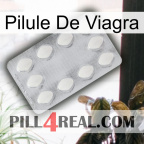 Viagra Pill 16